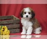 Image preview for Ad Listing. Nickname: Buttons