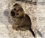Small Pin-Tzu