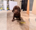 Image preview for Ad Listing. Nickname: Yellow