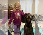 Small #10 Doberman Pinscher