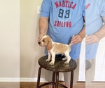 Image preview for Ad Listing. Nickname: Little Joy boy