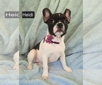Image preview for Ad Listing. Nickname: Heidi