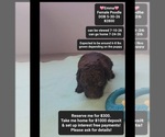 Image preview for Ad Listing. Nickname: Emma