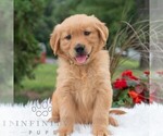 Image preview for Ad Listing. Nickname: Hannah
