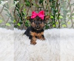 Image preview for Ad Listing. Nickname: Tiny Tilly