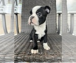 Image preview for Ad Listing. Nickname: Girl 1
