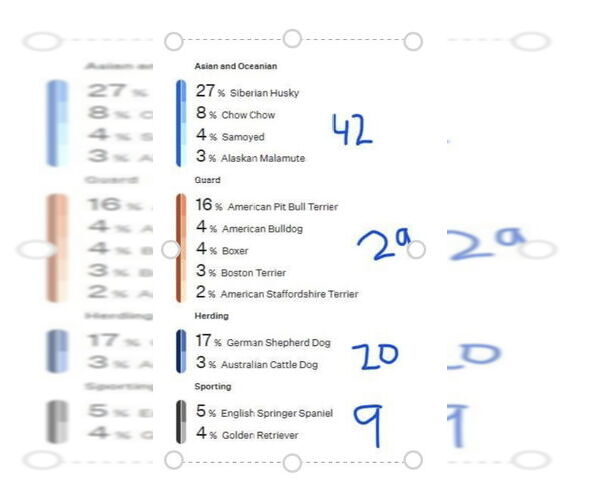 Medium Photo #7 Siberian Husky Puppy For Sale in Cedar Crest, NM, USA