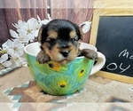 Image preview for Ad Listing. Nickname: Charlie