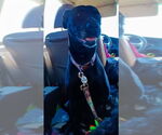 Small #3 Labrador Retriever Mix