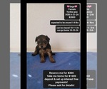 Image preview for Ad Listing. Nickname: Sage