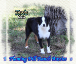 Image preview for Ad Listing. Nickname: Tevis