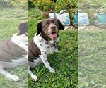 Small #2 Breeder Profile image