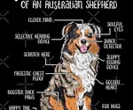 Small Photo #33 Australian Shepherd Puppy For Sale in SYLVA, NC, USA