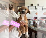 Small #1 Breeder Profile image