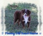 Image preview for Ad Listing. Nickname: Double