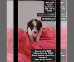 Image preview for Ad Listing. Nickname: Paris