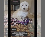 Image preview for Ad Listing. Nickname: Cynthia