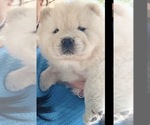 Image preview for Ad Listing. Nickname: Baby Boy
