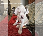 Image preview for Ad Listing. Nickname: Walter