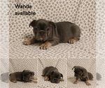 Image preview for Ad Listing. Nickname: Wanda