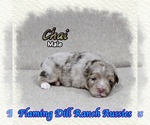 Image preview for Ad Listing. Nickname: Chai