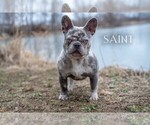 Image preview for Ad Listing. Nickname: Saint