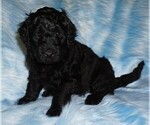 Image preview for Ad Listing. Nickname: black boy
