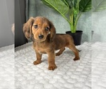 Image preview for Ad Listing. Nickname: Demi