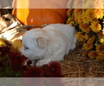 - Photo #2