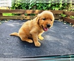 Image preview for Ad Listing. Nickname: Girl 1