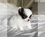 Image preview for Ad Listing. Nickname: Emmy