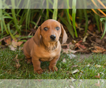 Image preview for Ad Listing. Nickname: Baylor