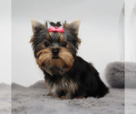 Image preview for Ad Listing. Nickname: Roxy