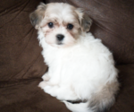 Image preview for Ad Listing. Nickname: Emma