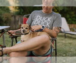 Small #2 Chihuahua