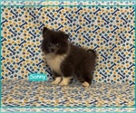 Small #2 Pomimo
