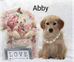 Image preview for Ad Listing. Nickname: Abby