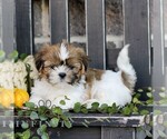 Image preview for Ad Listing. Nickname: Fiona