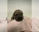 Image preview for Ad Listing. Nickname: Green collar