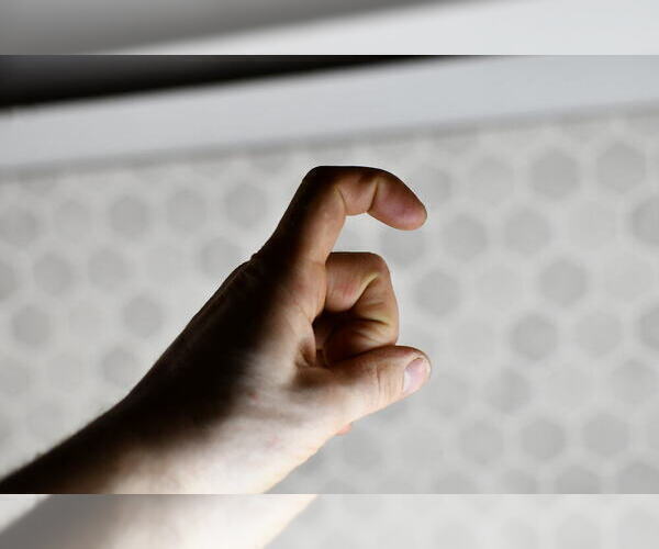 Medium Photo #54 Pembroke Welsh Corgi Puppy For Sale in MIDDLEBURY, IN, USA