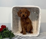 Image preview for Ad Listing. Nickname: Ava