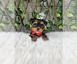 Image preview for Ad Listing. Nickname: Theo