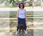 Litter of 6 - Male(s) and Female(s) RottweilerLitter of Puppies for Sale - Small photo