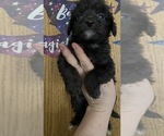 Image preview for Ad Listing. Nickname: Arctic