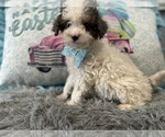 Image preview for Ad Listing. Nickname: Matt