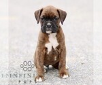 Image preview for Ad Listing. Nickname: Tammy