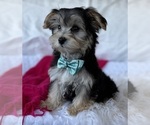 Image preview for Ad Listing. Nickname: LAYNE