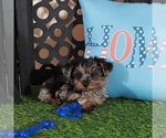 Image preview for Ad Listing. Nickname: Burberry