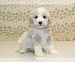 Image preview for Ad Listing. Nickname: Royal