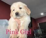 Image preview for Ad Listing. Nickname: Pink Girl